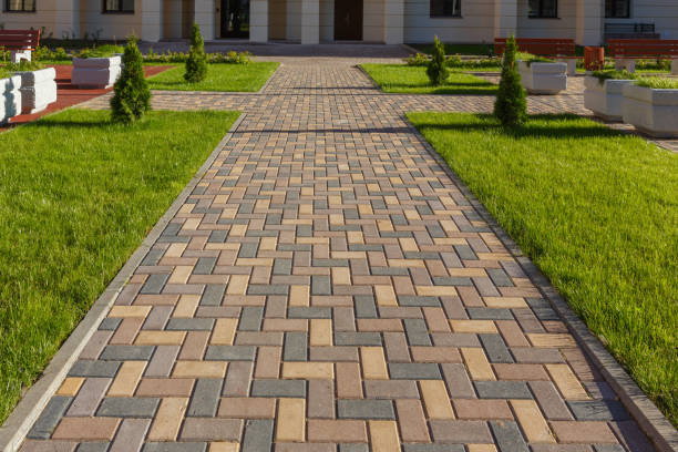 Best Driveway Sealing and Maintenance in Newcastle, WY